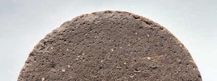 Čeští vědci vyvinuli pěnu z přírodní gumy a ligninu Foto: CARC – Národní centrum zemědělského a potravinářského výzkumu