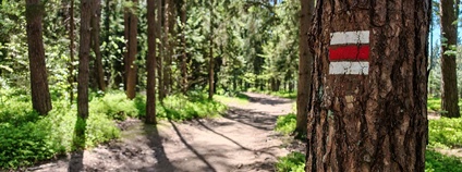 Turistická značka Foto: Ondřej Nitsch AOPK ČR
