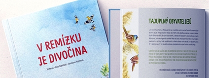 Kniha v remízku je divočina.