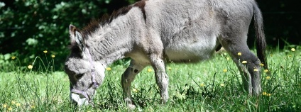 foto: ZOO Zlín foto: ZOO Zlín