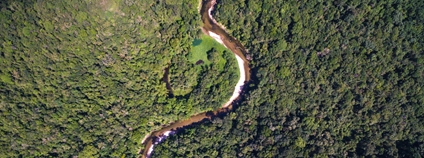 Brazilská Amazonie Foto: Depositphotos