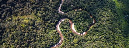 Brazilská Amazonie Foto: Depositphotos