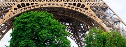Stromy u paty Eiffelovy věže Foto: Depositphotos