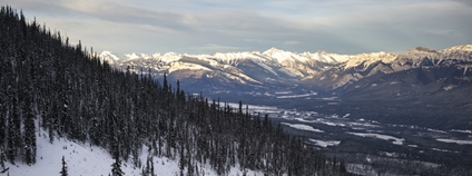 Kanadská krajina v zimě Foto: Depositphotos