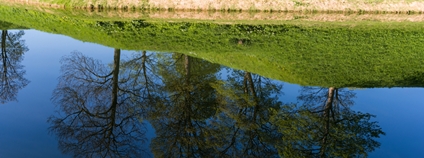 Odraz stromů na vodní ploše Foto: Depositphotos