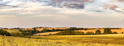 Pestrá zemědělská krajina Foto: Depositphotos