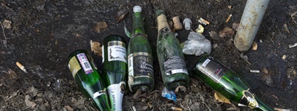 Odhozené lahve od sektu Foto: Depositphotos