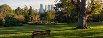 Park v Melbourne Foto: Depositphotos