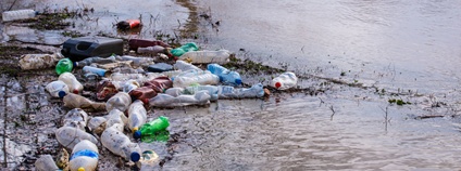 Plastové lahve u břehu Foto: Depositphotos