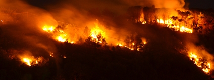 Požár amazonského pralesa Foto: Depositphotos