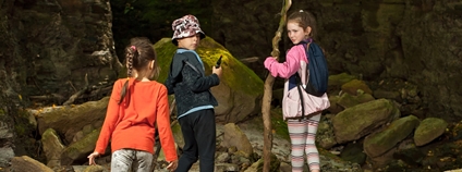Školáci ve skalách Foto: Depositphotos
