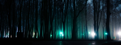 Modrá světla prosvítající skrz stromy Foto: Depositphotos