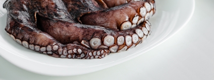 Chobotnice na talíři Foto: Depositphotos