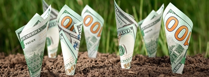 Grafika: Peníze rostoucí z půdy Foto: Depositphotos Grafika: Peníze rostoucí z půdy Foto: Depositphotos