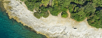 Národní park Brijuni v Chorvatsku Foto: Depositphotos
