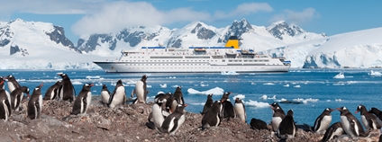 Výletní loď u Antarktidy Foto: Depositphotos