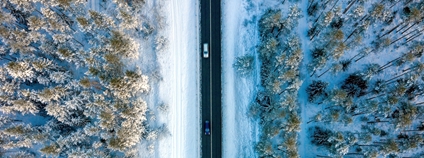 Silnice v zimním lese Foto: Depositphotos