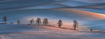 Krajina v zimě Foto: Depositphotos