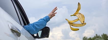 Člověk vyhazuje z automobilového okénka banánové slupky Foto: Depositphotos