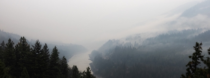 Kouř z lesního požáru Foto: Depositphotos