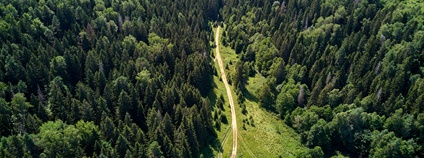 Foto: Depositphotos