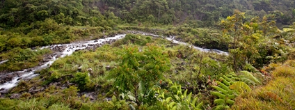 ¨Příroda na indonéské části ostrova Papua Foto: Depositphotos