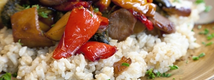 Vegetariánské jídlo s rýží a zeleninou Foto: Depositphotos