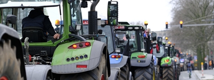 Foto: Ale_Mi Depositphotos