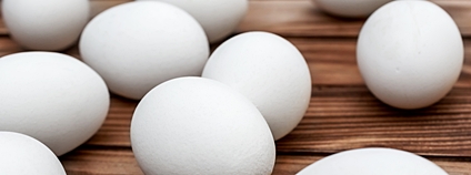 Vejce s bílou skořápkou Foto: Depositphotos