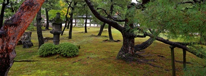 Park v Japonsku Foto: Depositphotos
