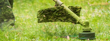 Sekání trávy strunovou sekačkou Foto: Depositphotos