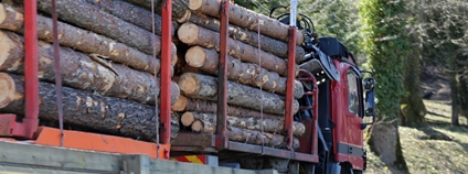 Nákladní vůz se dřevem Foto: Depositphotos
