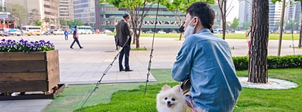 Muž se psem v Jižní Koreji Foto: Depositphotos