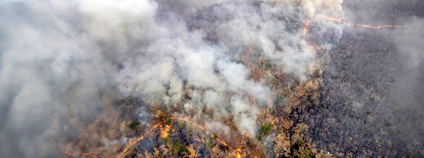 Lesní požár v Austrálii Foto: Depositphotos