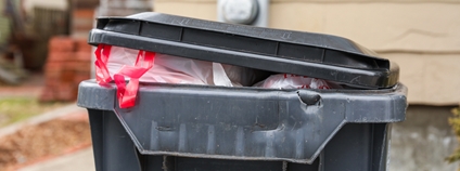 Popelnice na chodníku Foto: Depositphotos