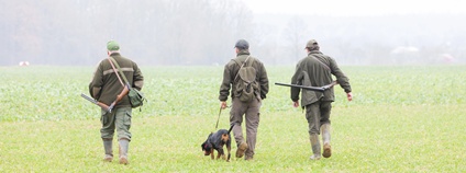 Lovci a lovecký pes Foto: Depositphotos