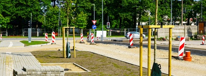 Nová výsadba v rekonstruované ulici Ilustrační foto: Depositphotos
