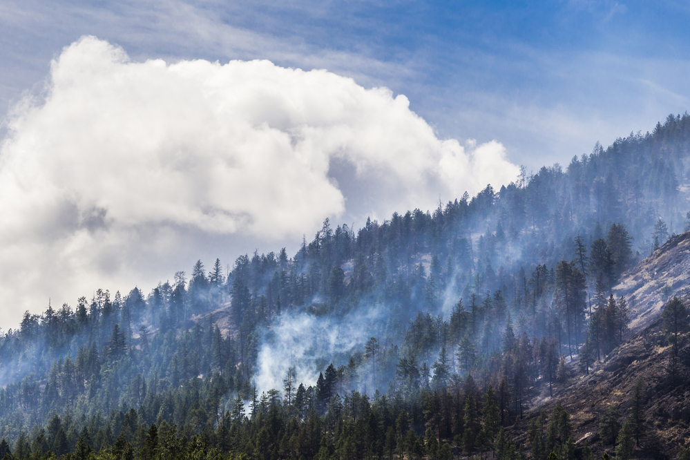 Røyk fra skogbranner i Canada har spredt seg til Norge