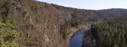 Přírodní rezervace Dívčí kámen na Českokrumlovsku Foto: Jan Indra AOPK ČR