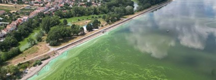 Havarijní situace na Dyji Foto: Povodí Moravy