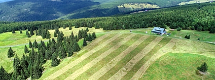 Pásová seč v Krkonoších Foto: Přemysl Janata Správa KRNAP