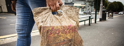 Foto: University of Plymouth / www.sciencealert.com Foto: University of Plymouth / www.sciencealert.com