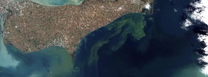 Foto: NASA Earth Observatory Foto: NASA Earth Observatory