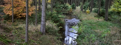 Foto:  Jan Řezáč / VÚLHM