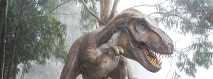 Tyranosaurus rex Foto: Fausto García-Menéndez Unsplash
