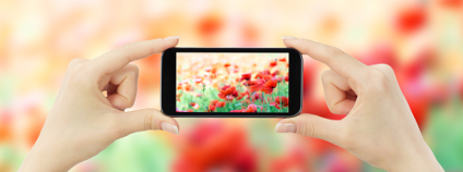 Foto:  Pakhryushcha / Shutterstock