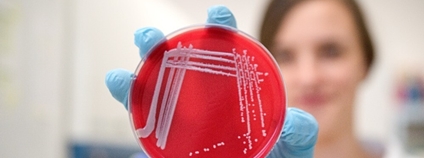 Foto: Ústav chemie a biochemie AF MENDELU