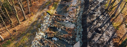 Koryto beskydské řeky Lomné je širší a odolnější vůči velké vodě Foto: Lesy ČR