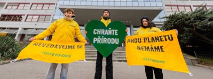 Akce Greenpeace proti Motoristům ve vedení Ministerstva životního prostředí Foto: Majda Slámová Greenpeace