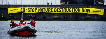 Blokáda Greenpeace v nizozemském přístavu Foto: LINE COMPULSORY Greenpeace